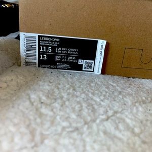 Brand new in box never touched lebrons lakers shoes